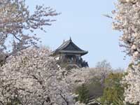 inuyama-castle.jpg